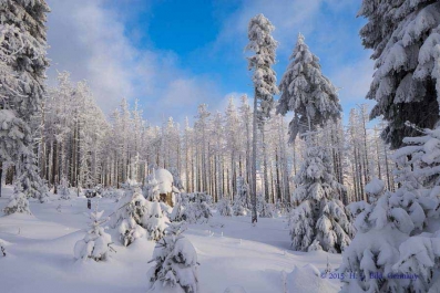 Winterlicher Ausflug zum Brocken_35