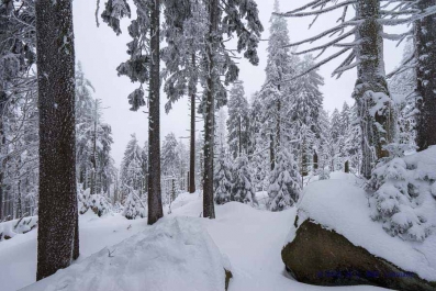 Winterlicher Ausflug zum Brocken_39