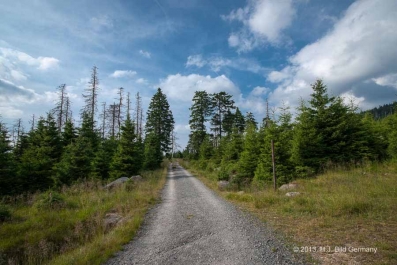 Sommerliche Harzfotos_28