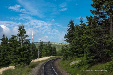 Sommerliche Harzfotos_32