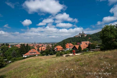 Sommerliche Harzfotos_3