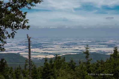 Sommerliche Harzfotos_42