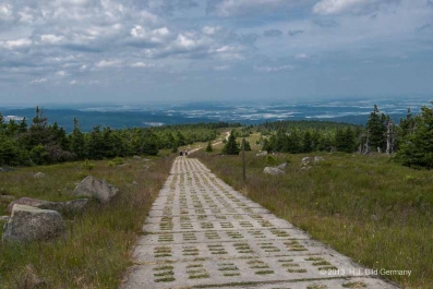 Sommerliche Harzfotos_43