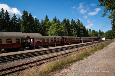 Sommerliche Harzfotos_4