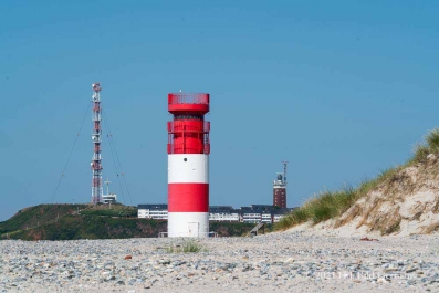 Helgolands Robben_22