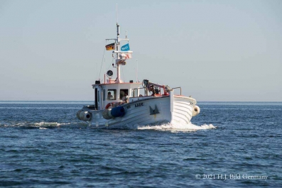 Helgolands Robben _20