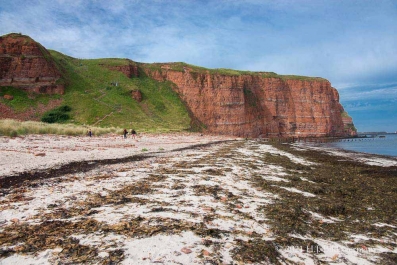 Rote Felsinsel Helgoland_13