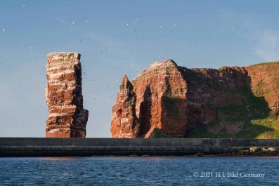 Rote Felsinsel Helgoland_16