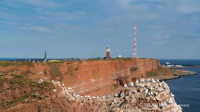 Rote Felsinsel Helgoland_23