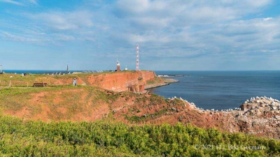Rote Felsinsel Helgoland_24