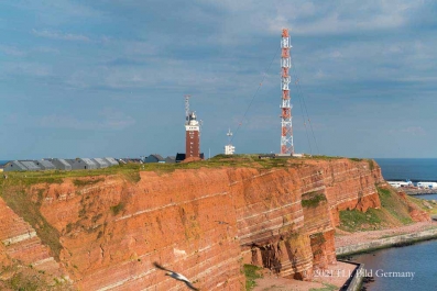 Rote Felsinsel Helgoland_29