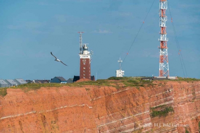 Rote Felsinsel Helgoland_30