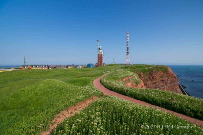 Rote Felsinsel Helgoland_31