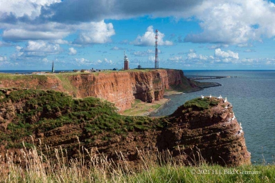 Rote Felsinsel Helgoland_33