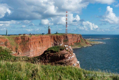 Rote Felsinsel Helgoland_35