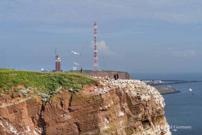 Rote Felsinsel Helgoland_45