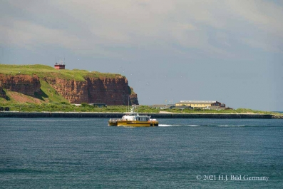 Rote Felsinsel Helgoland_47