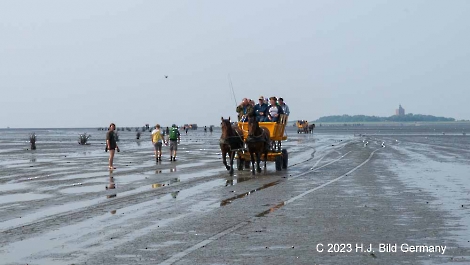Unterwegs im Wattenmeer zwischen Cuxhaven und der Nordseeinsel Neuwerk_10