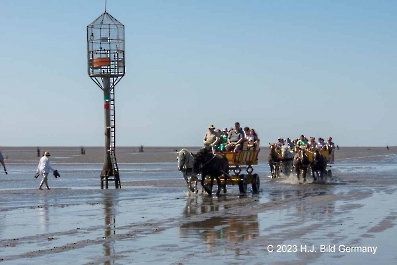 Unterwegs im Wattenmeer zwischen Cuxhaven und der Nordseeinsel Neuwerk_11