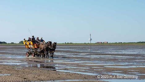 Unterwegs im Wattenmeer zwischen Cuxhaven und der Nordseeinsel Neuwerk_12