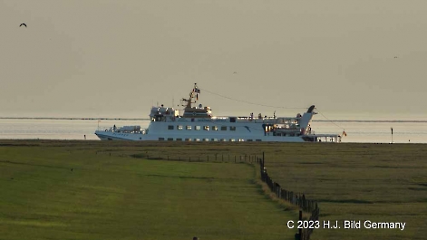 Unterwegs im Wattenmeer zwischen Cuxhaven und der Nordseeinsel Neuwerk_15