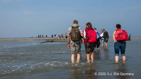 Unterwegs im Wattenmeer zwischen Cuxhaven und der Nordseeinsel Neuwerk_1