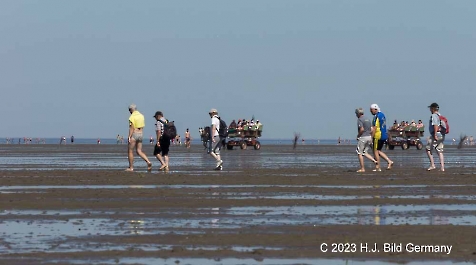 Unterwegs im Wattenmeer zwischen Cuxhaven und der Nordseeinsel Neuwerk_2