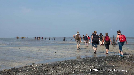 Unterwegs im Wattenmeer zwischen Cuxhaven und der Nordseeinsel Neuwerk_3