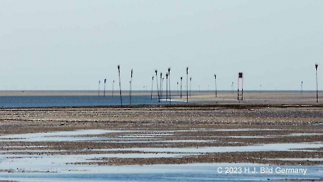 Unterwegs im Wattenmeer zwischen Cuxhaven und der Nordseeinsel Neuwerk_4
