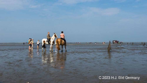 Unterwegs im Wattenmeer zwischen Cuxhaven und der Nordseeinsel Neuwerk_5