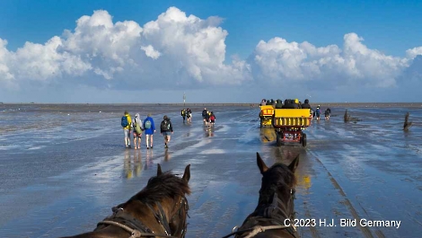 Unterwegs im Wattenmeer zwischen Cuxhaven und der Nordseeinsel Neuwerk_6