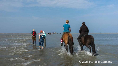 Unterwegs im Wattenmeer zwischen Cuxhaven und der Nordseeinsel Neuwerk_7