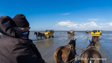 Unterwegs im Wattenmeer zwischen Cuxhaven und der Nordseeinsel Neuwerk_8