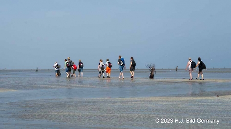 Unterwegs im Wattenmeer zwischen Cuxhaven und der Nordseeinsel Neuwerk_9