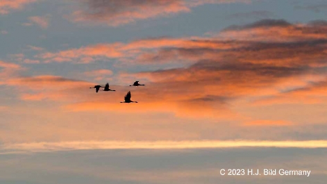 Sonnenaufgang Fotos_13