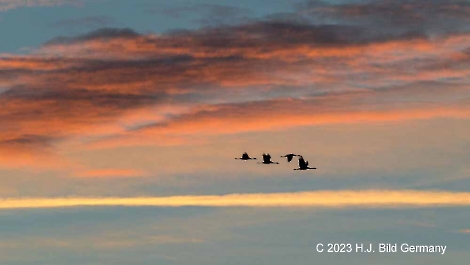 Sonnenaufgang Fotos_15