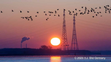 Sonnenaufgang Fotos_20