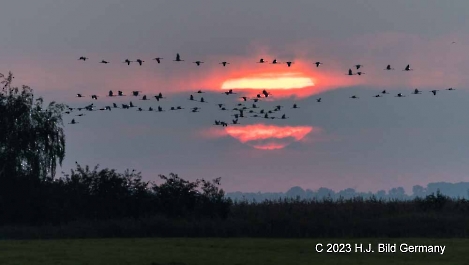 Sonnenaufgang Fotos_21