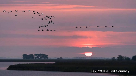 Sonnenaufgang Fotos_23