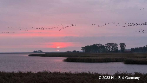 Sonnenaufgang Fotos_25