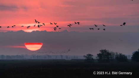 Sonnenaufgang Fotos_27