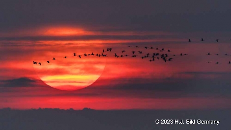 Sonnenaufgang Fotos_29