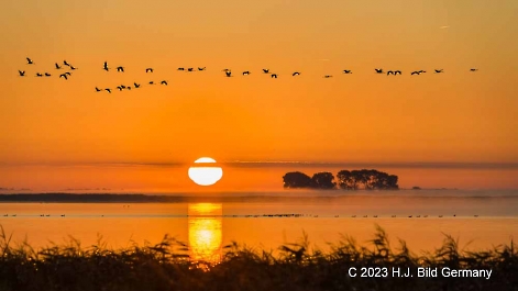 Sonnenaufgang Fotos_3