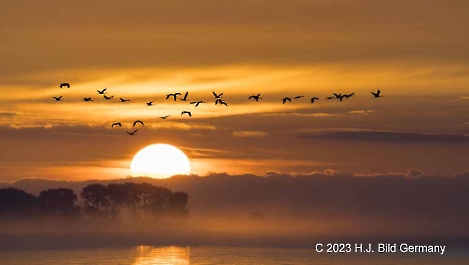 Sonnenaufgang Fotos_4