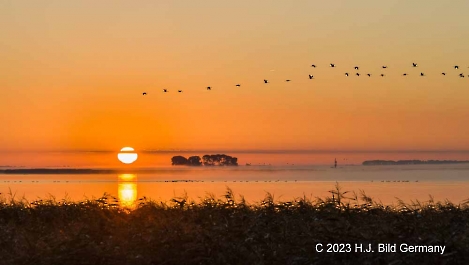 Sonnenaufgang Fotos_5