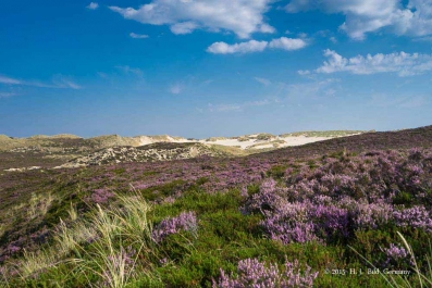 Sylt_104