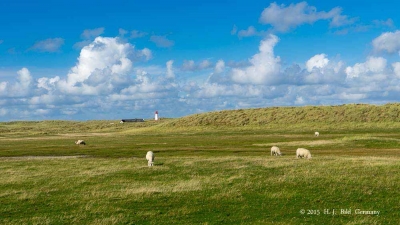 Sylt_41