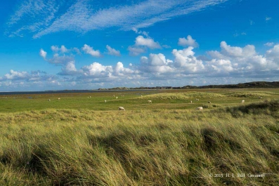 Sylt Fotografie_63