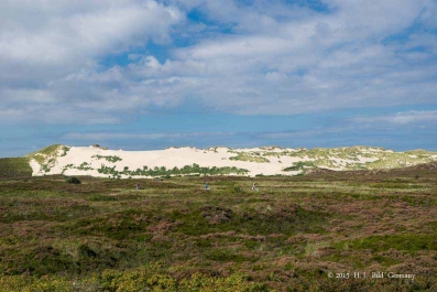Sylt Fotografie_69