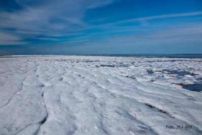 Eisiges Wattenmeer_3